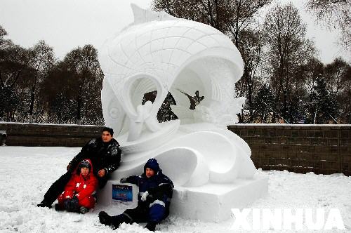 哈尔滨国际雪雕比赛落幕[组图]