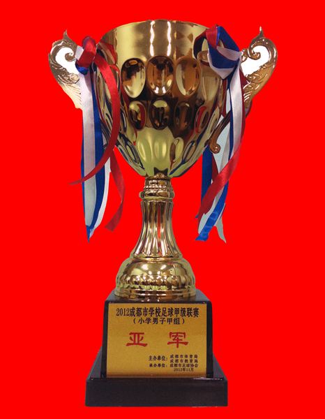 棠外附小足球队勇夺成都市学校足球甲级联赛小学男子甲组亚军