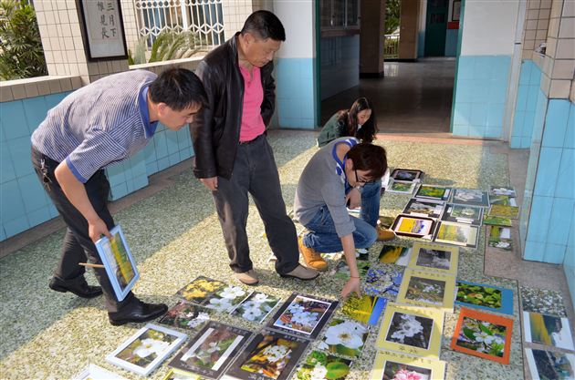 棠中外语学校初2012级社会实践活动之摄影比赛