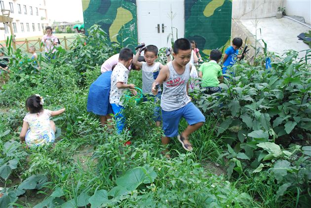 棠外实验幼稚园种植园售卖活动