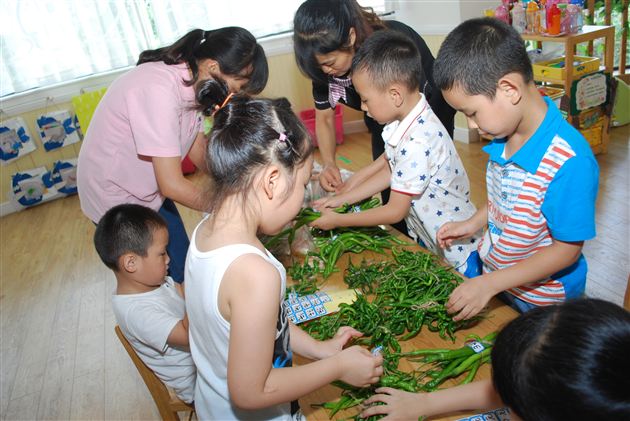 棠外实验幼稚园种植园售卖活动