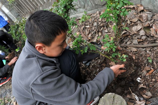 待来年，共赏花香满墙——记棠外师生“植树节”美化校园行动