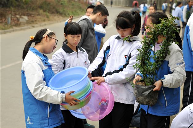 待来年，共赏花香满墙——记棠外师生“植树节”美化校园行动