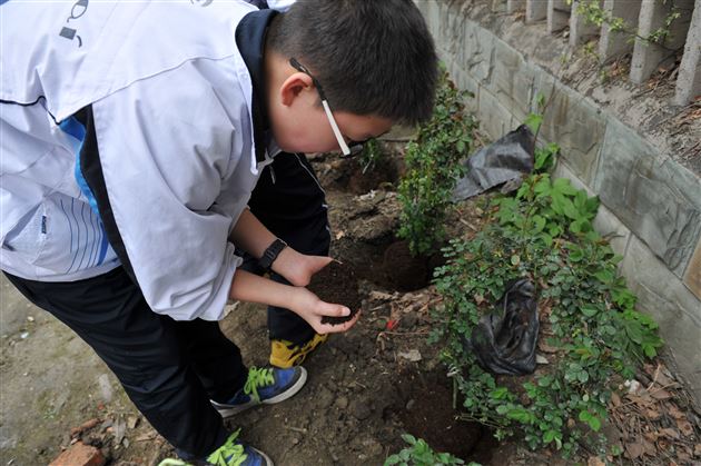 待来年，共赏花香满墙——记棠外师生“植树节”美化校园行动