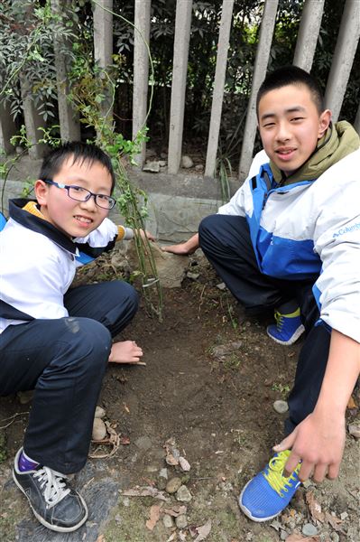 待来年，共赏花香满墙——记棠外师生“植树节”美化校园行动