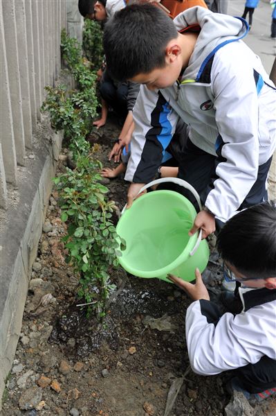 待来年，共赏花香满墙——记棠外师生“植树节”美化校园行动