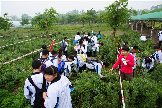 走近有机生态 登上全新舞台——记棠外初2014级师生大邑县格林庄园有机农业体验之旅