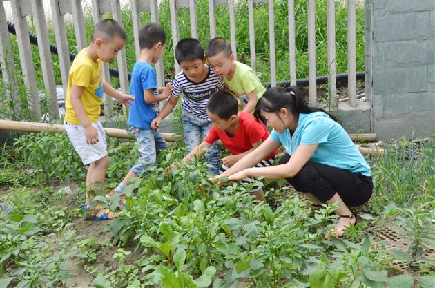 “爱心农场”丰收啦——记棠外实验幼稚园蔬菜爱心义卖活动