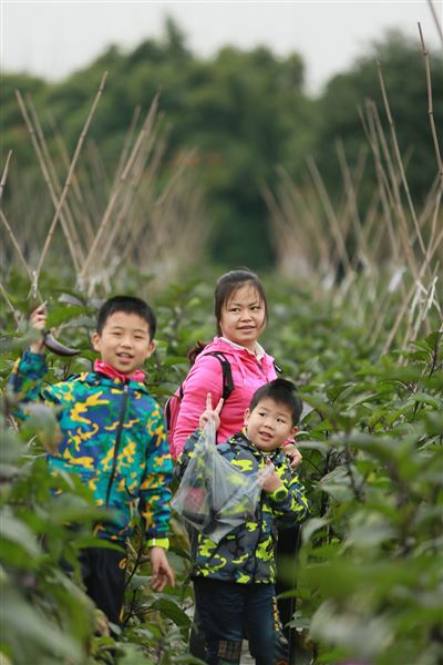 同赏田园美丽风景，共度美好亲子时光——记棠外附小2015级1班、2班亲子活动