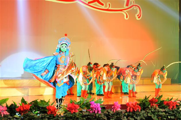 燕舞莺歌喜迎新年 桃欢李笑春满校园——棠外2015年校园艺术节展演暨2016年新年文艺联欢晚会隆重举行