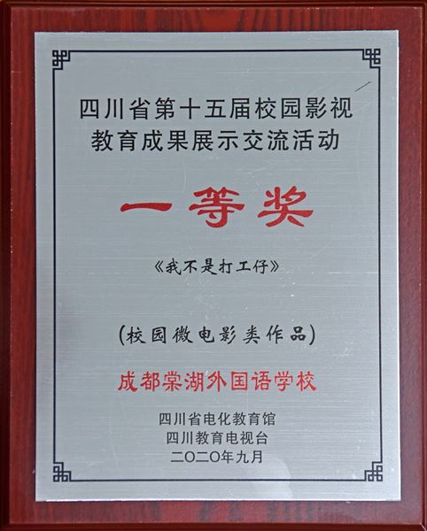 2020年四川省第十五届中小学校园影视成果作品《我不是打工仔》获一等奖