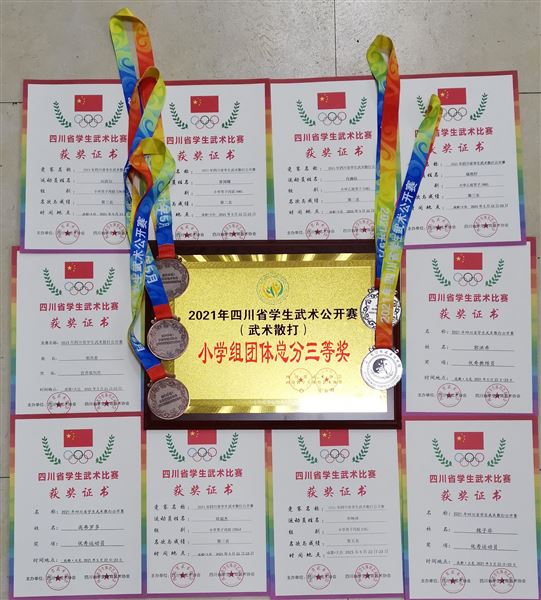 棠外附小参加2021年四川省学生武术散打公开赛获佳绩