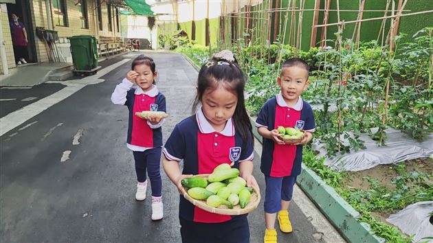棠外实验幼儿园开展蔬菜义卖活动
