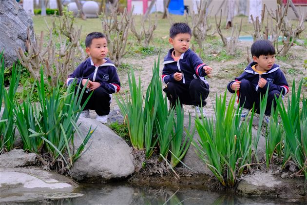 寻找春天的足迹——棠湖仁智幼儿园2023年亲子春游活动