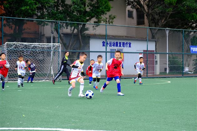 “空港杯”成都市双流区第一届绿茵之星校园足球比赛在棠外圆满落幕