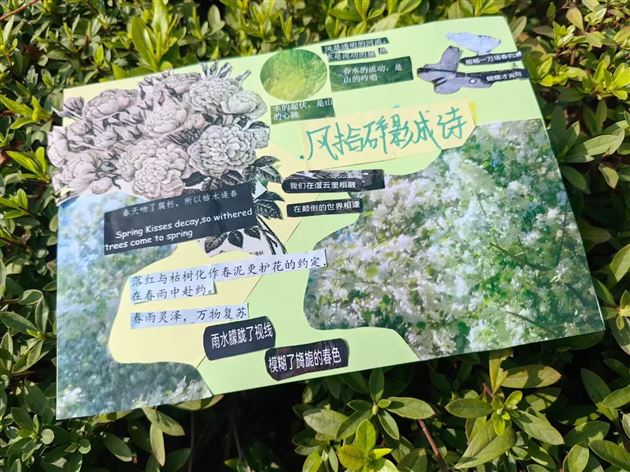 诗情画意映春光 巧手慧心传文韵——棠外初一语文备课组春日系列活动侧记