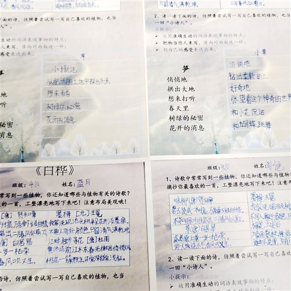 轻叩诗歌大门  漫溯诗意芳痕 ——记棠外附小四年级语文综合实践活动