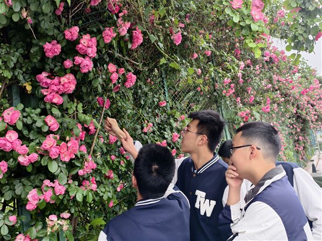 十载蔷薇绽芬芳  生命教育促成长