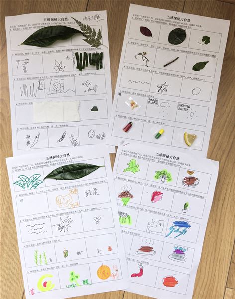 “我”与大自然的悄悄话——棠外初中2025年“5·25我爱我”心理健康节系列活动（二）