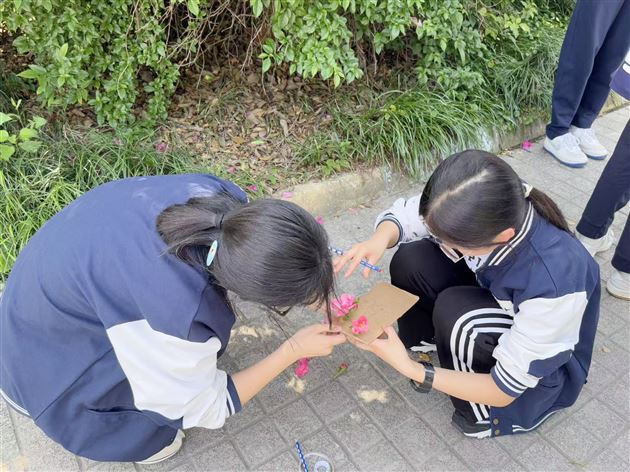 纸板上的美育之光——记棠外高中2025年“5·25我爱我”心理健康节系列活动（六）