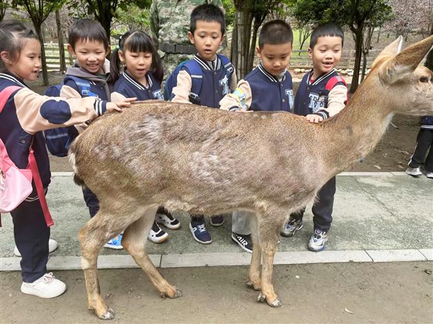 秋光正好，童心飞扬——棠外附小一年级学子欢乐田园实践纪实