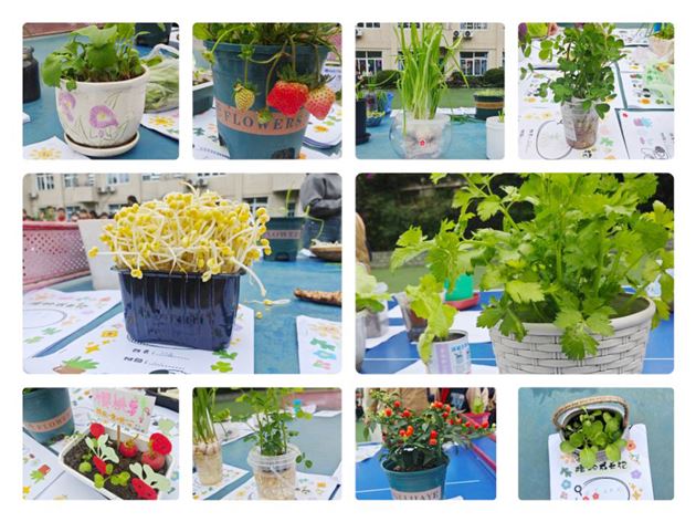 从播种到收获的成长礼赞——棠外附小四年级开展劳动成果展