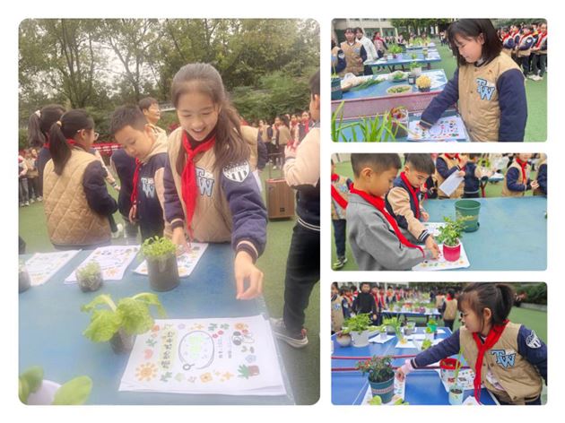 从播种到收获的成长礼赞——棠外附小四年级开展劳动成果展