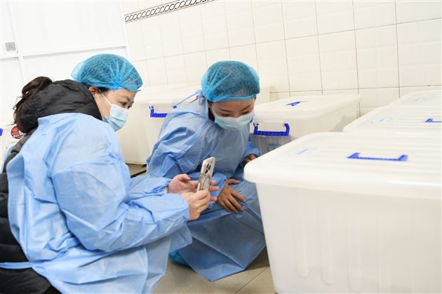 家校同心，“食”刻守护——成都棠湖外国语学校顺利召开2025-2026学年度膳食管理家长委员会第一次会议