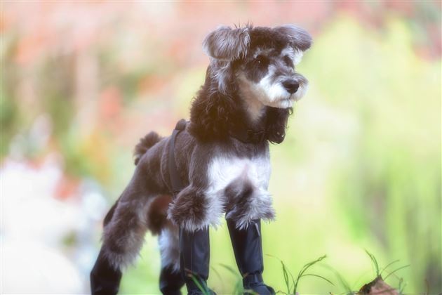 2班 苏煜童《lucky》