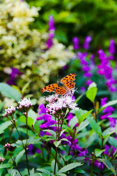 5班 宋海涛《自然》