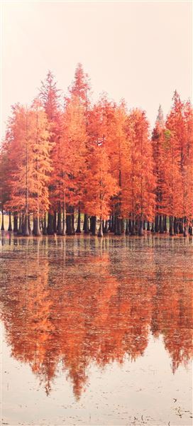 5班 蒲睿晞《秋影》