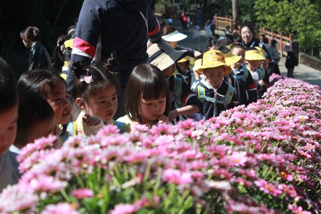 棠湖仁智幼儿园成都植物园春游活动圆满举行