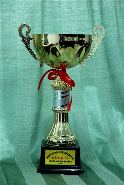 获奖奖杯