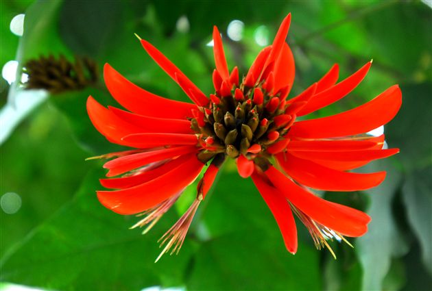 欢乐的童年(八)