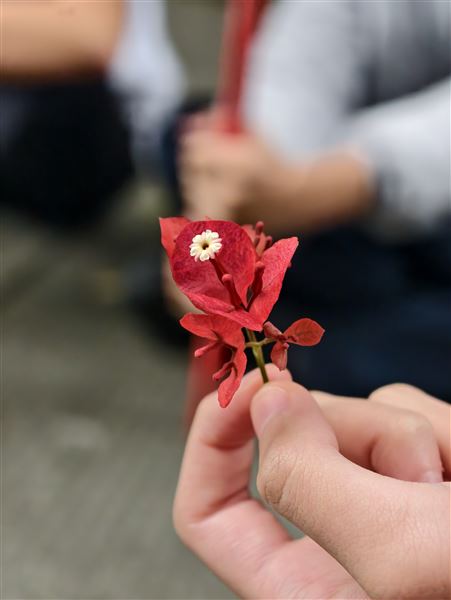 棠外高中开展“植物聚焦”心理探索活动